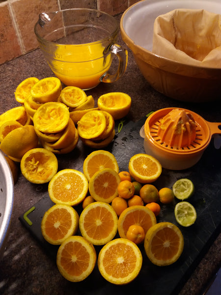 Picture of cut oranges and other citrus fruit and a jug of the juice