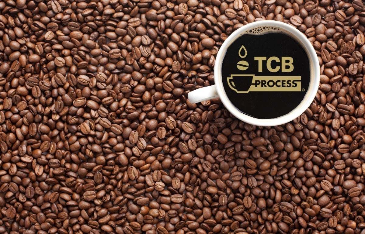 the tcb process® by the coffee brewmasters