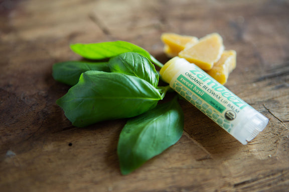 Sweet Basil 3-Pack Lip Balm with Beeswax