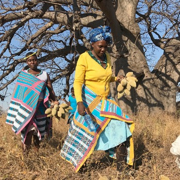 Terres D'Afrique women