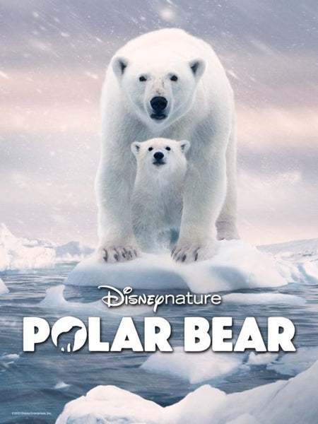 Polar Bear Disney Documentary