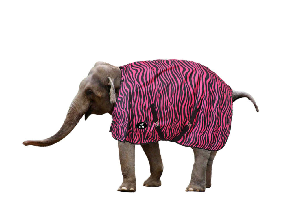 elephant in pink jacket