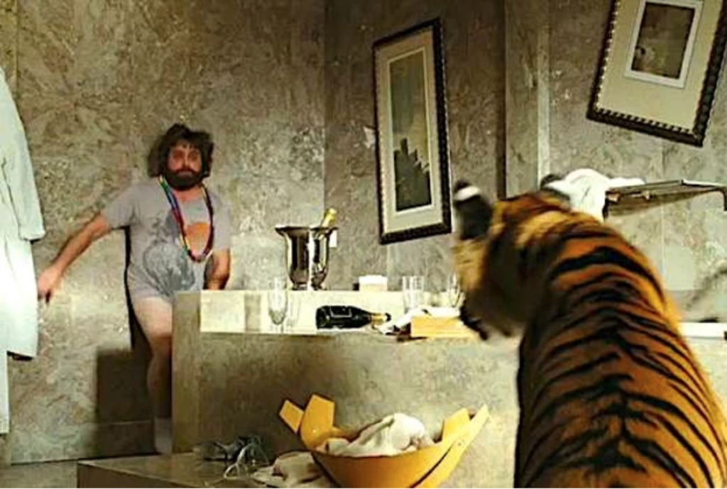 Scene from the hangover