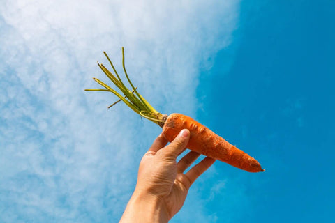 a hand holding a carrot under a beautiful blue sky
