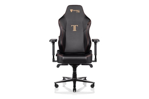 The titan gaming chair from secret lab black and brown
