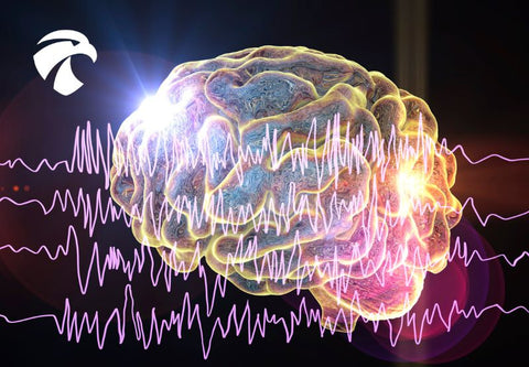 Brain waves represented with energy lines on a dark background