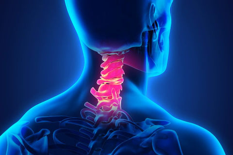 Imagen de la columna cervical