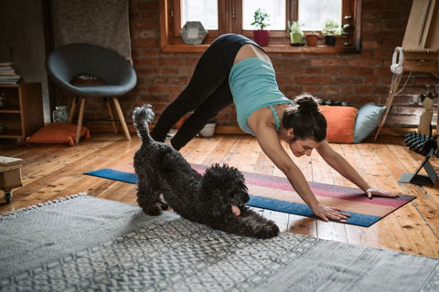 dog and human doing yoga