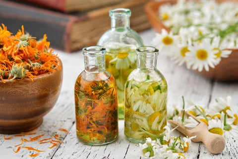 flowers in small glass bottles steeping to make tea