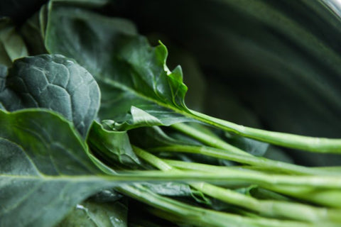 leafy greens in pan optimal nutrition for gamers