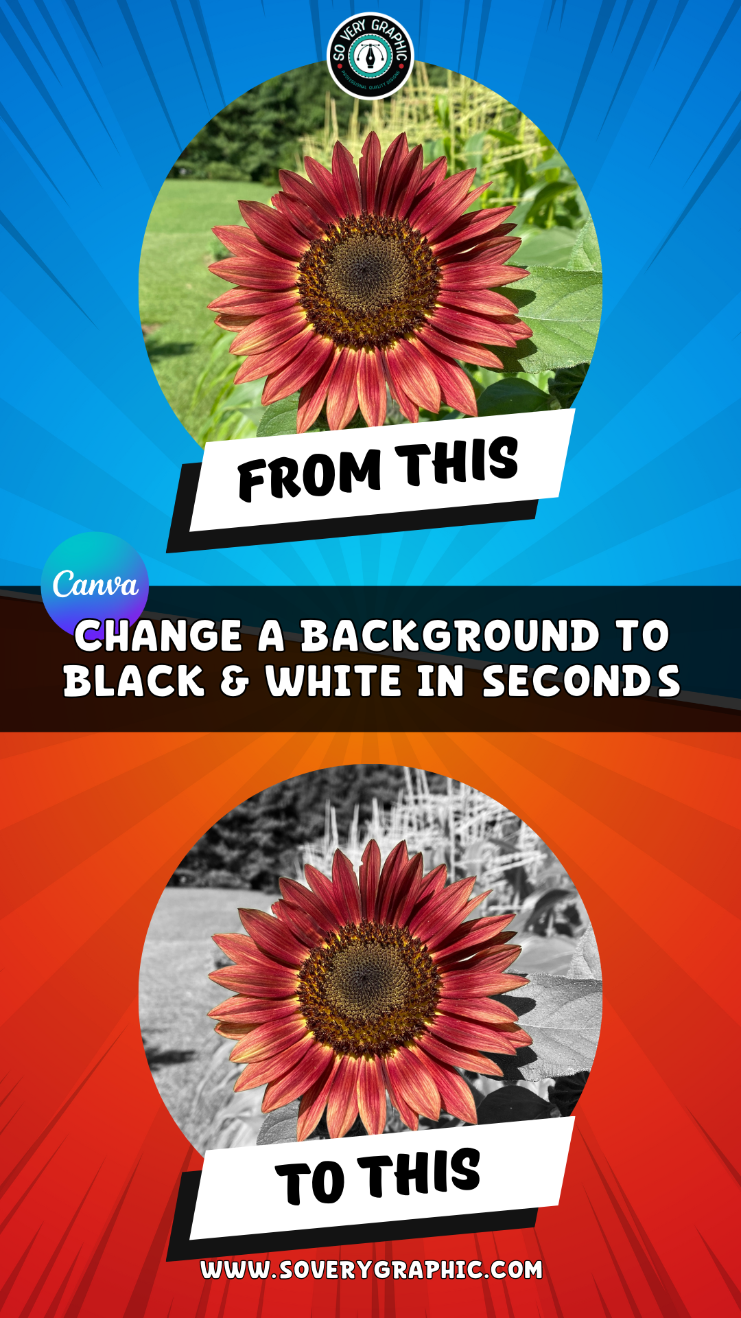 How to Change a Background to Black & White in Seconds Canva Tutorial
