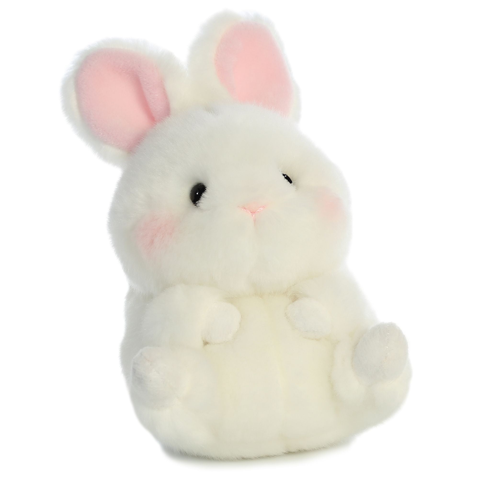 aurora rolly pet bunny