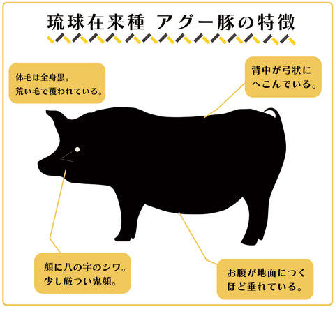 アグー豚の特徴
