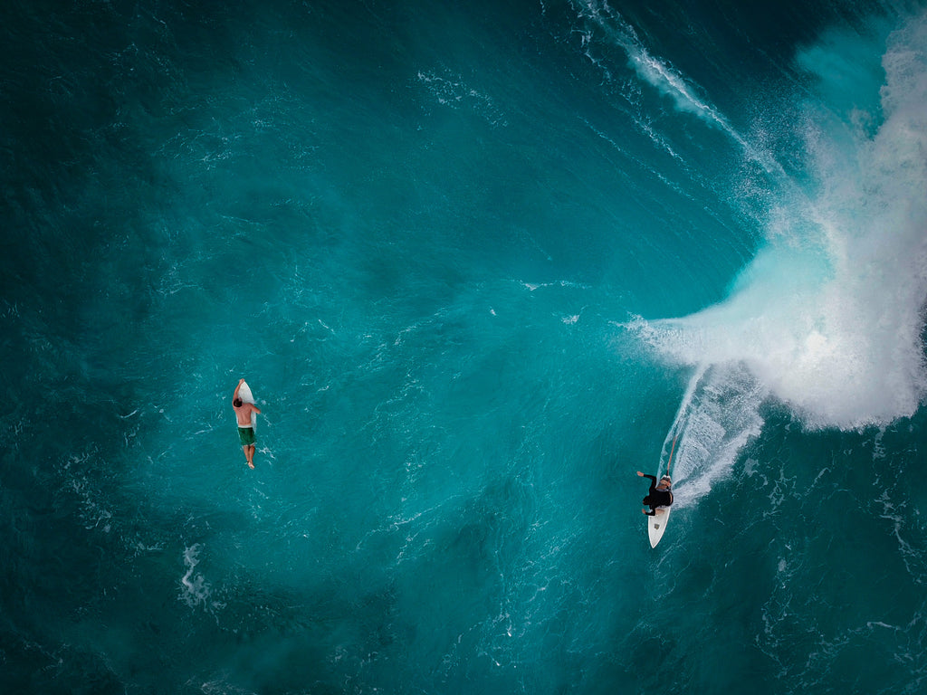 Your Brian on Surfing 