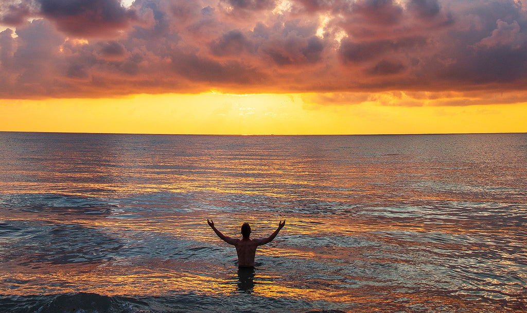 Your Brain on Surfing 