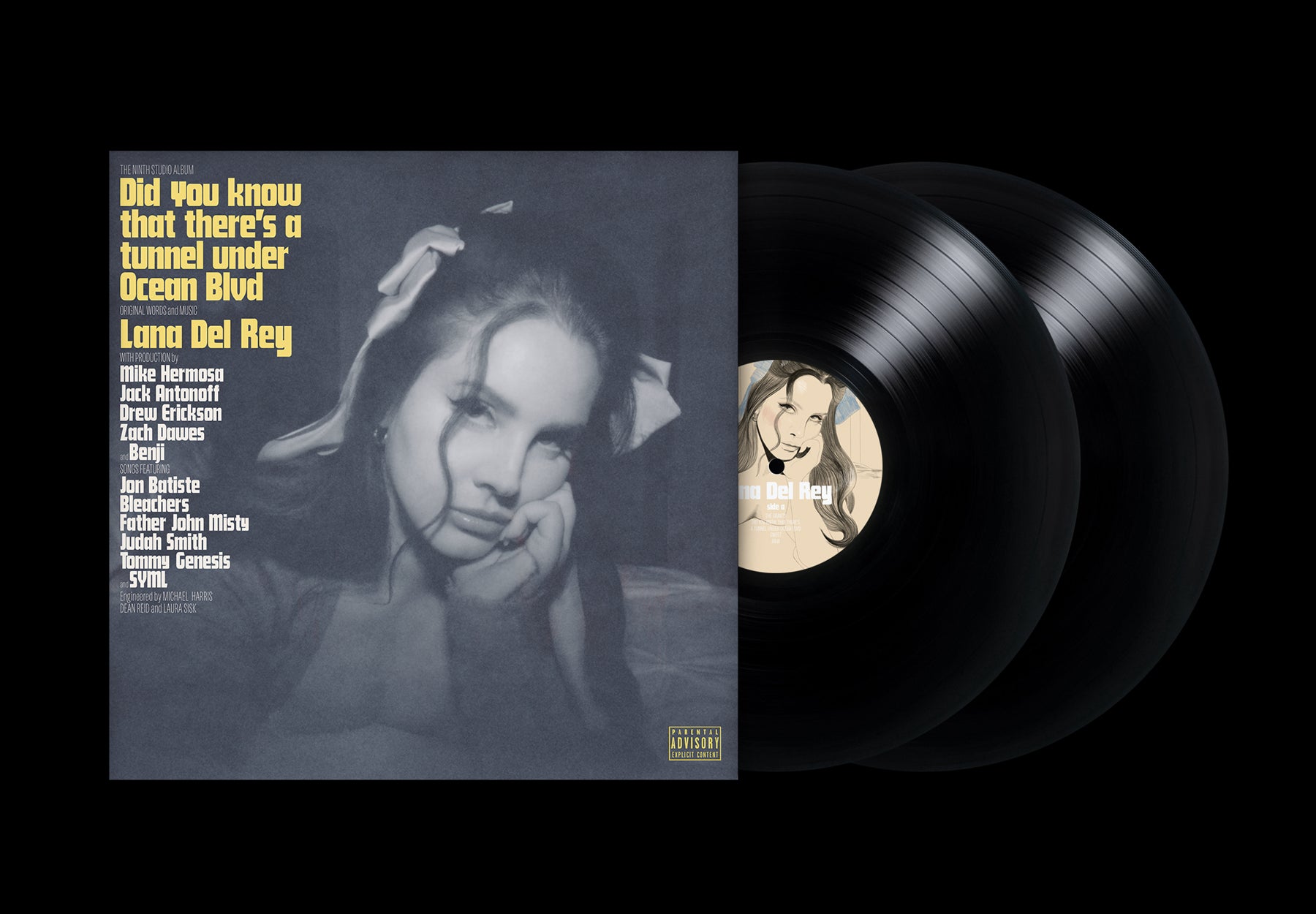 国際ブランド Greenレコード Lana Del Rey Did you know LP zppsu.edu.ph