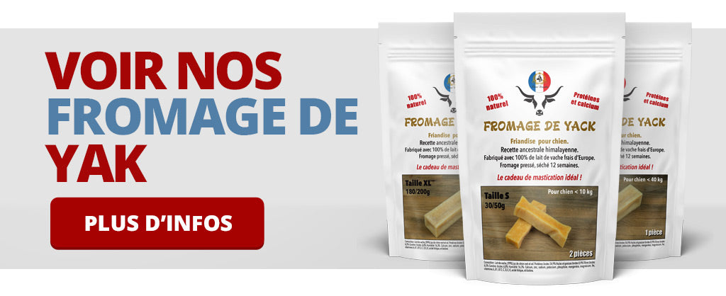 fromage de yack