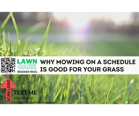 Importance of Lawn Maintenance