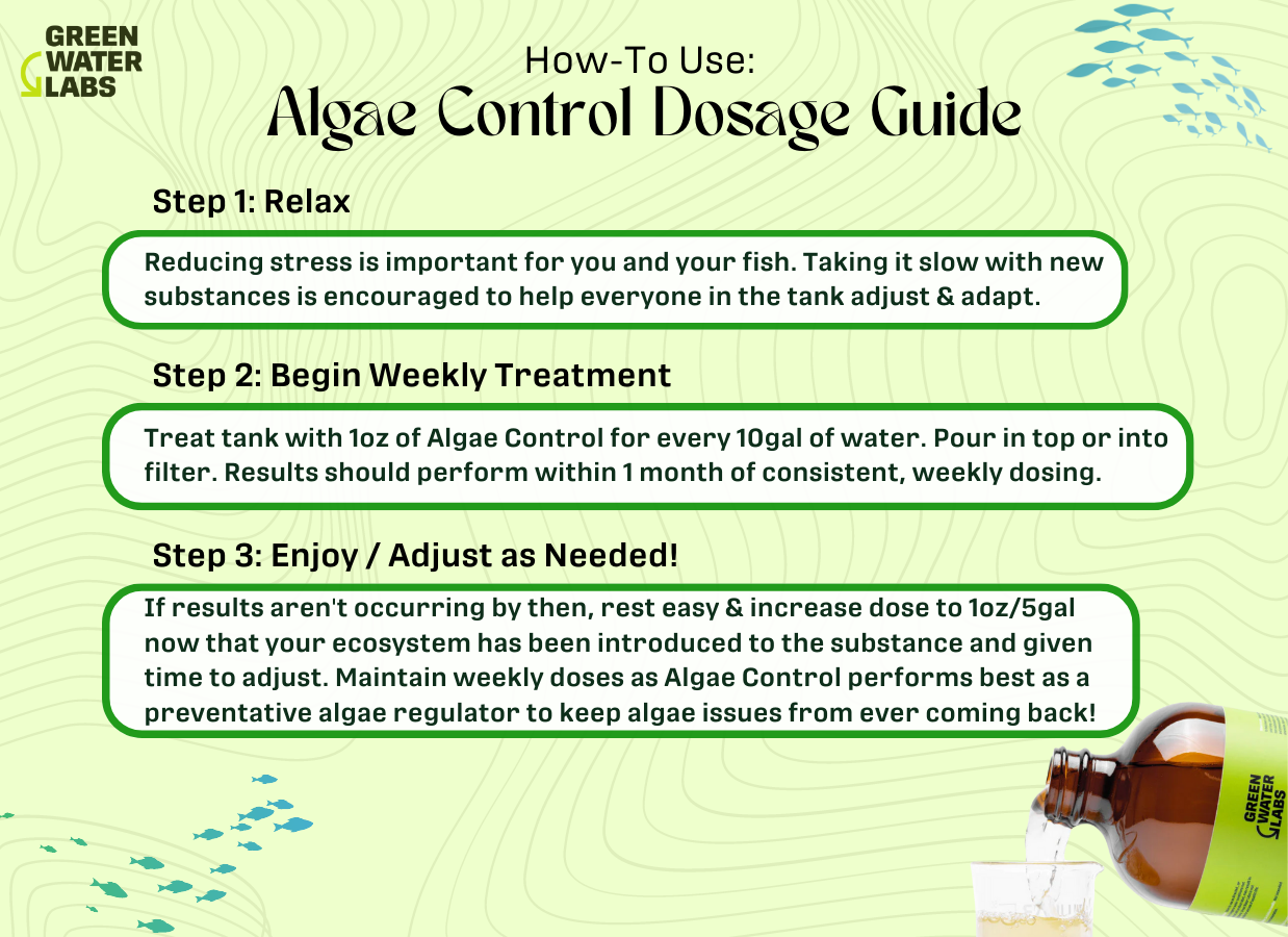 how to use algae control in your tank to clean and prevent algae from coming back. 3 step process for regulating algae written below!