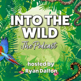 Into the Wild Podcast