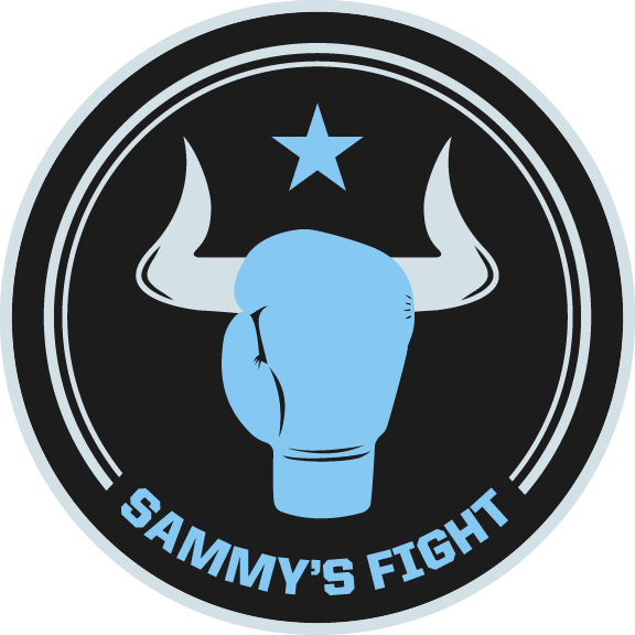 SammysFight