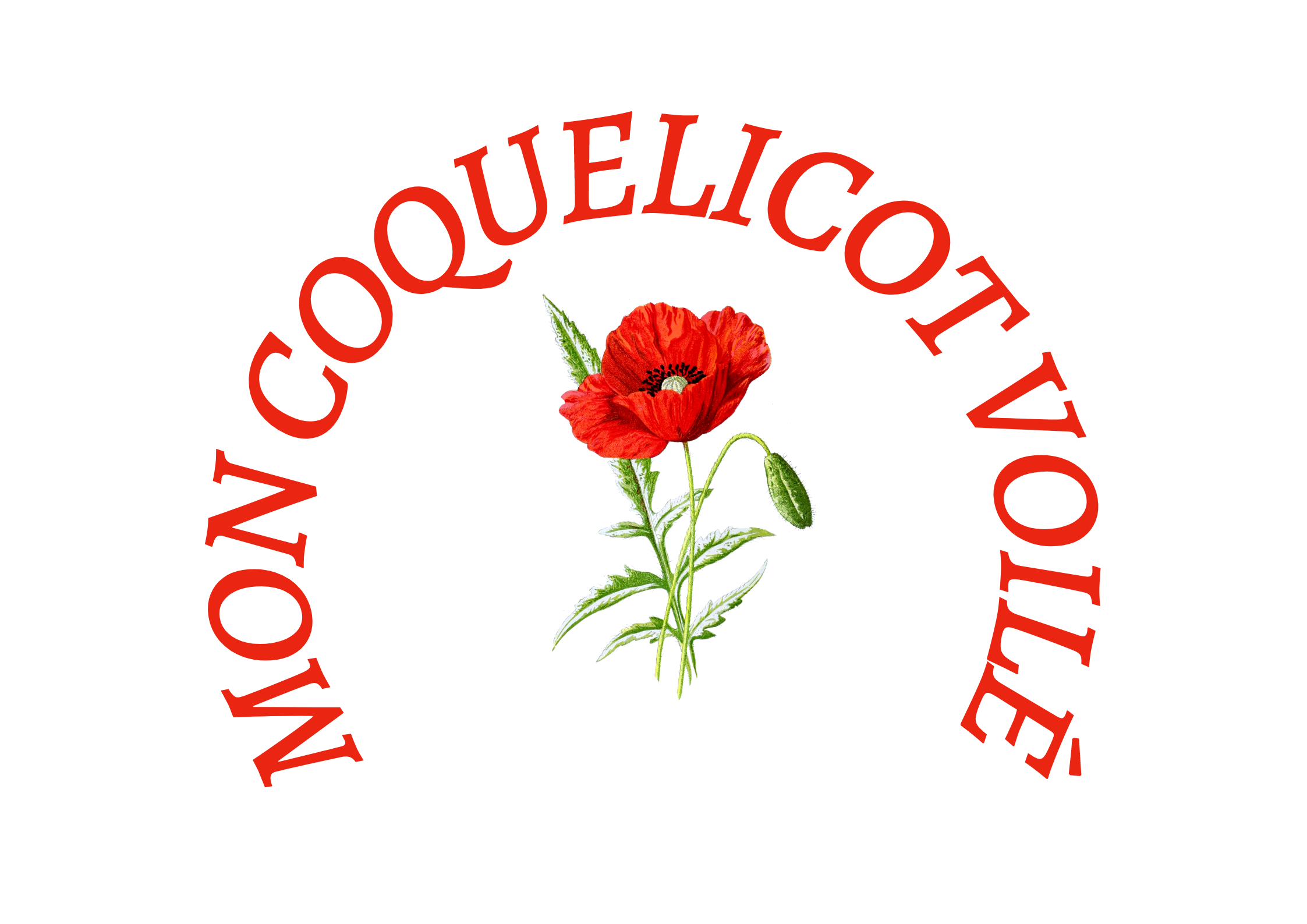 moncoquelicot