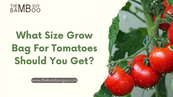 What Size Grow Bag For Tomatoes Should You Get