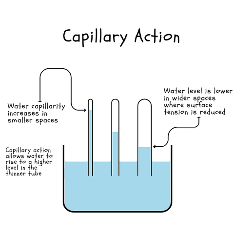 capillary action