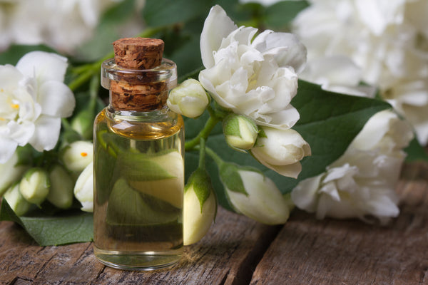 jasmine oil & flowers