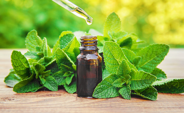 peppermint with essential oil