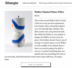 a painted blue and red ceramic WALTER water filter featured in the strategist