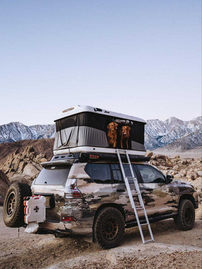 Hawkes designed overlanding vehicle with dog