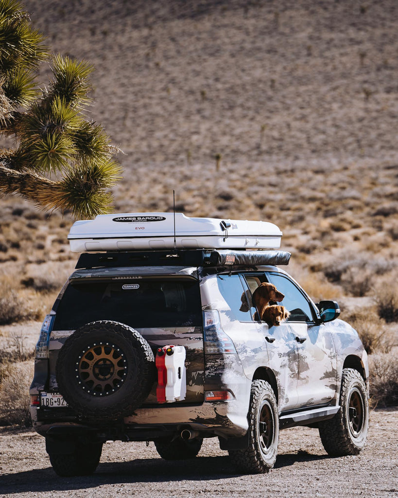 Hawkes designed overlanding vehicle with dog