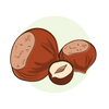A graphic of hazelnut