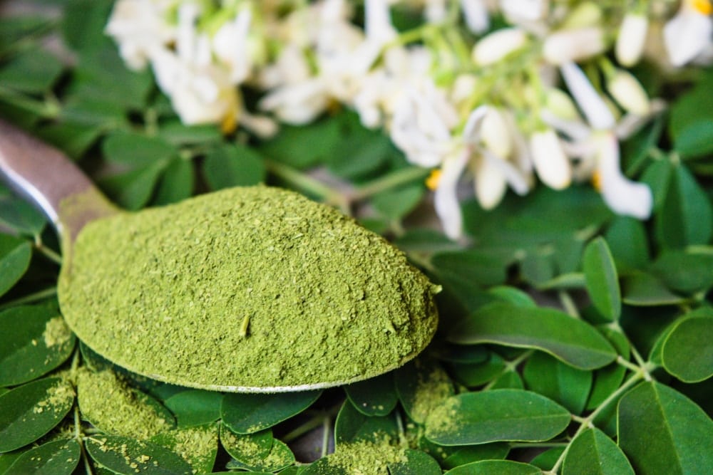 les bienfaits du moringa