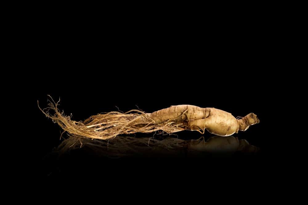 ginseng et fatigue