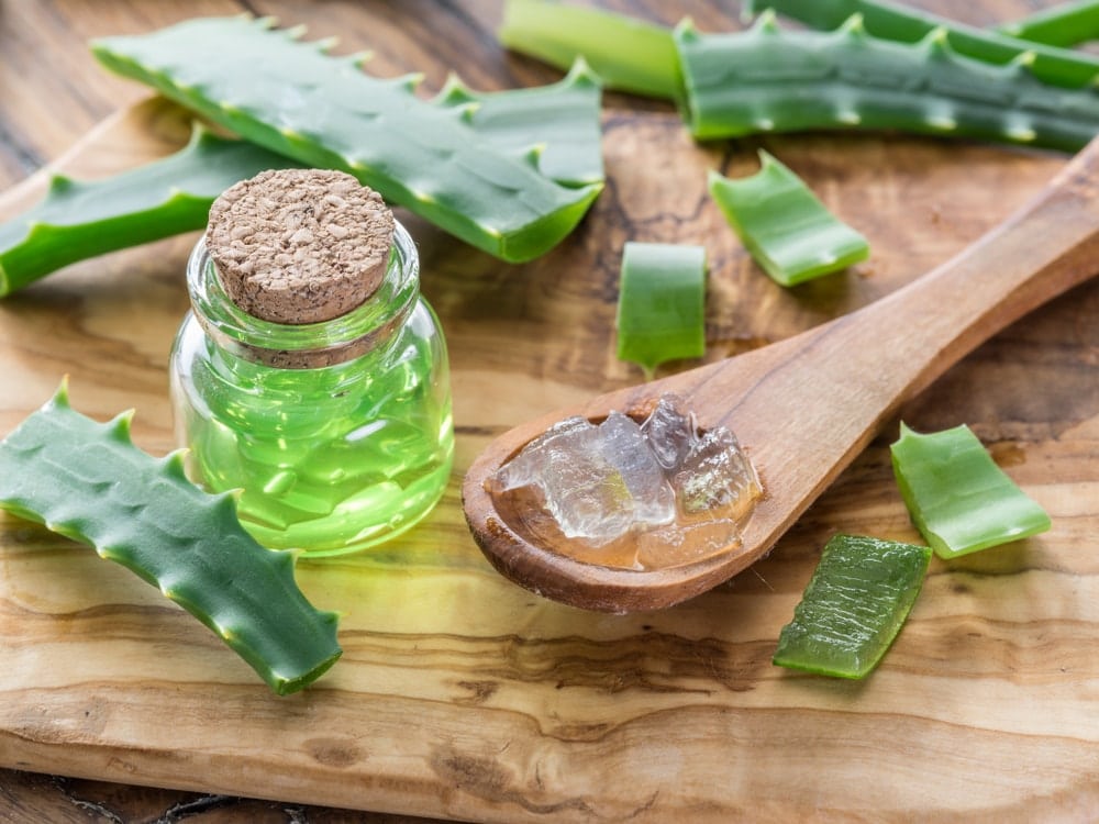 Aloe vera et digestion