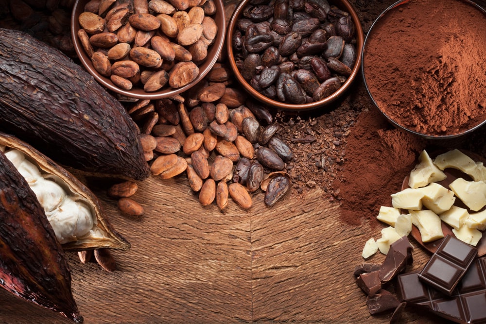 bienfaits du cacao