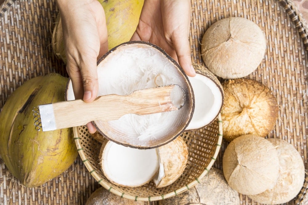 recettes à l'huile de coco