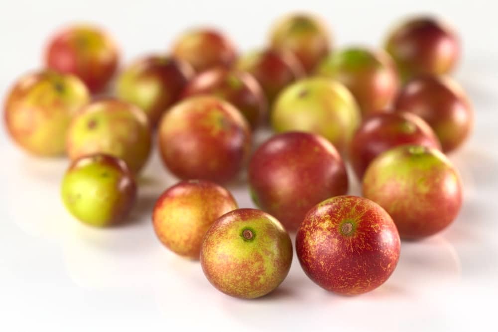 vitamine C et camu camu