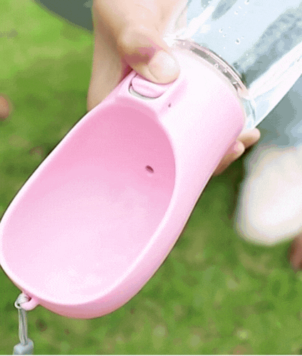 Bottle with Holder for Water and Food for Dogs and Cats