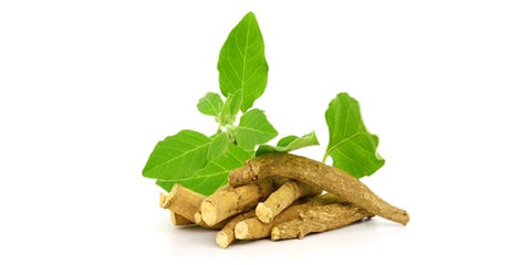 Ashwagandha Sex Power Medicine