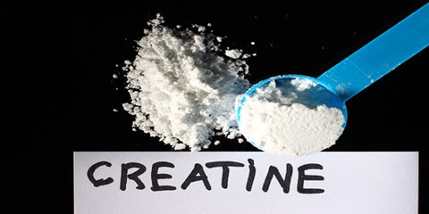 Creatine Supplements for athletes and bodybuilders