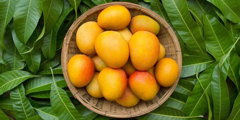 Mango – Ayurvedic medicine for Skin allergy