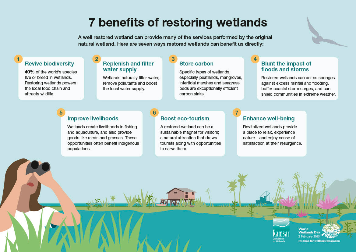ramsar 7 steps for wetland restoration