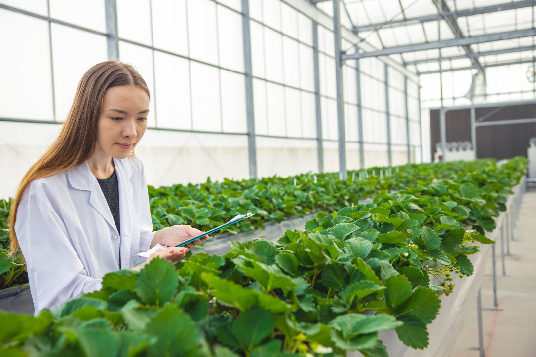 smart aquaponics and smart hydroponics farming