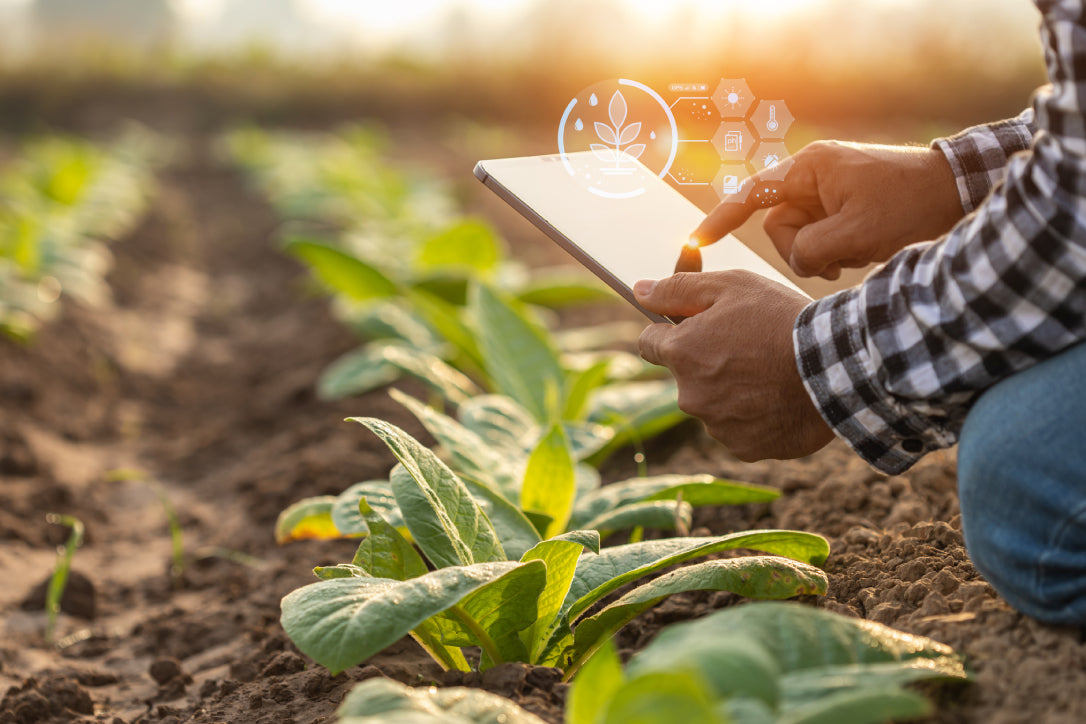 IoT smart agricultural monitoring