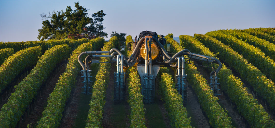 vineyard spraying