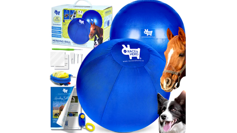 25-inch herding ball for large and medium dogs