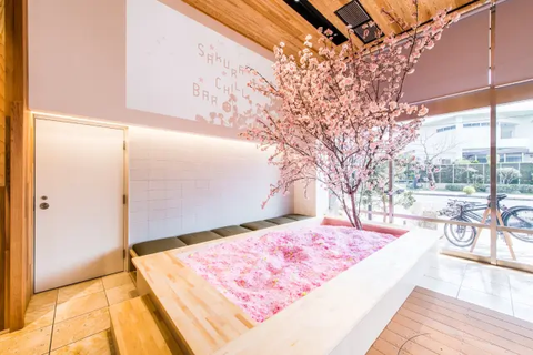 Sakura-Inspired Home Décor and Lifestyle Products